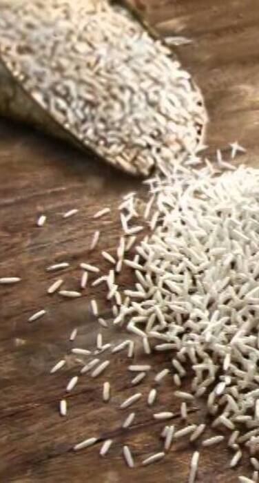 Avazeh Rice